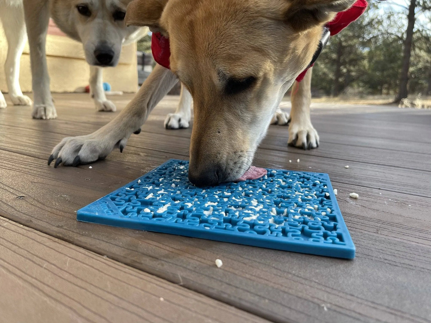 Jigsaw Design Lick Mat