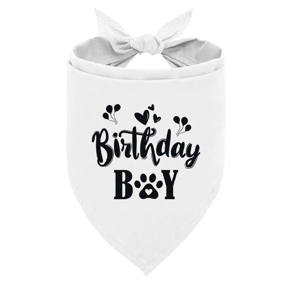 Birthday Boy Dog Bandana