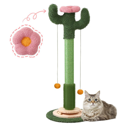 Cactus Cat Scratching