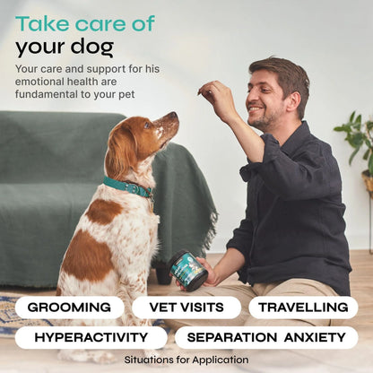 Calming Chews for Dogs Beef Flavor