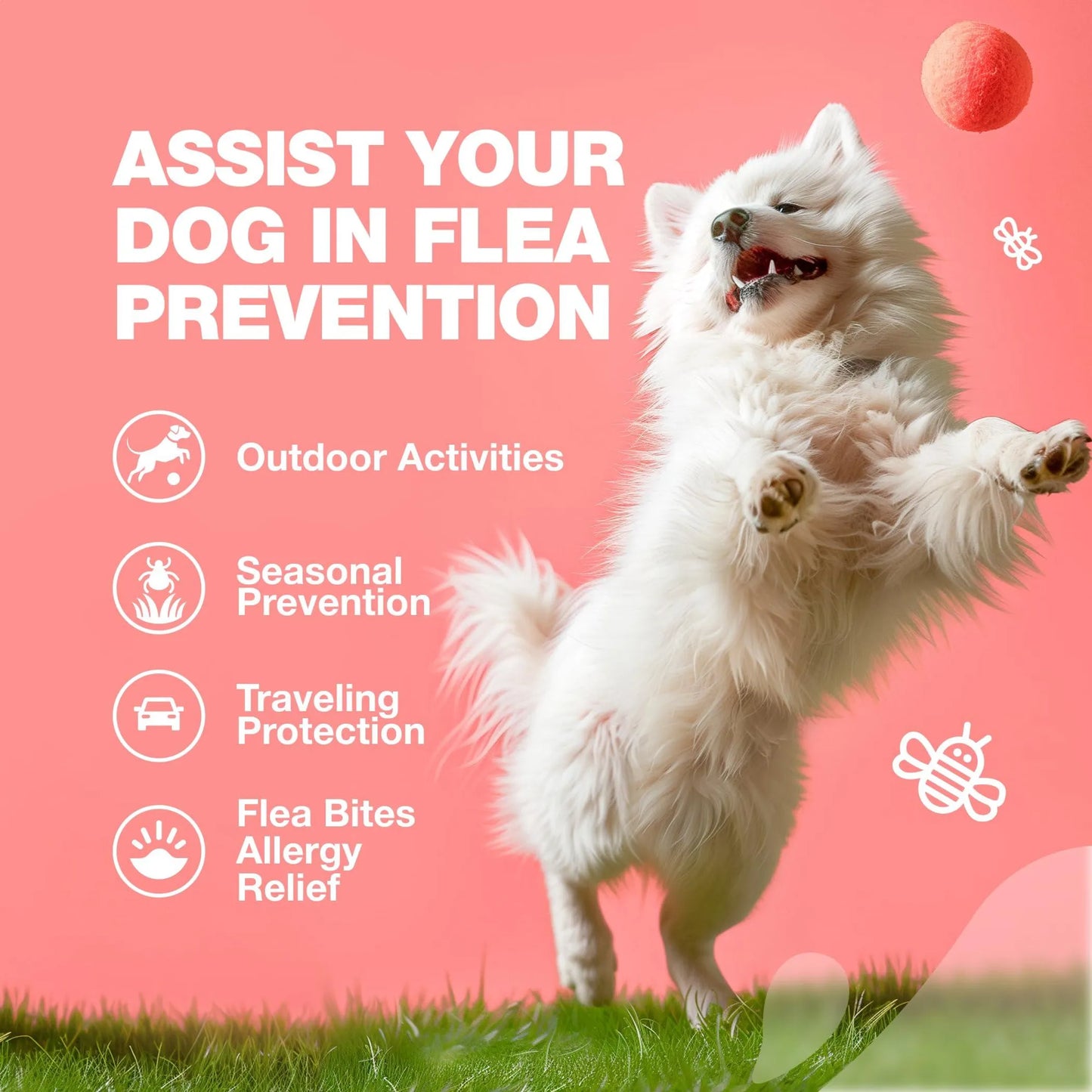 Dog Flea and Tick Treatment Chews
