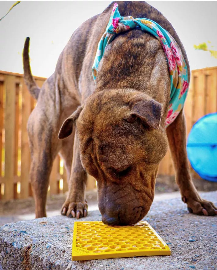 Flower & Honeycomb Lick Mat