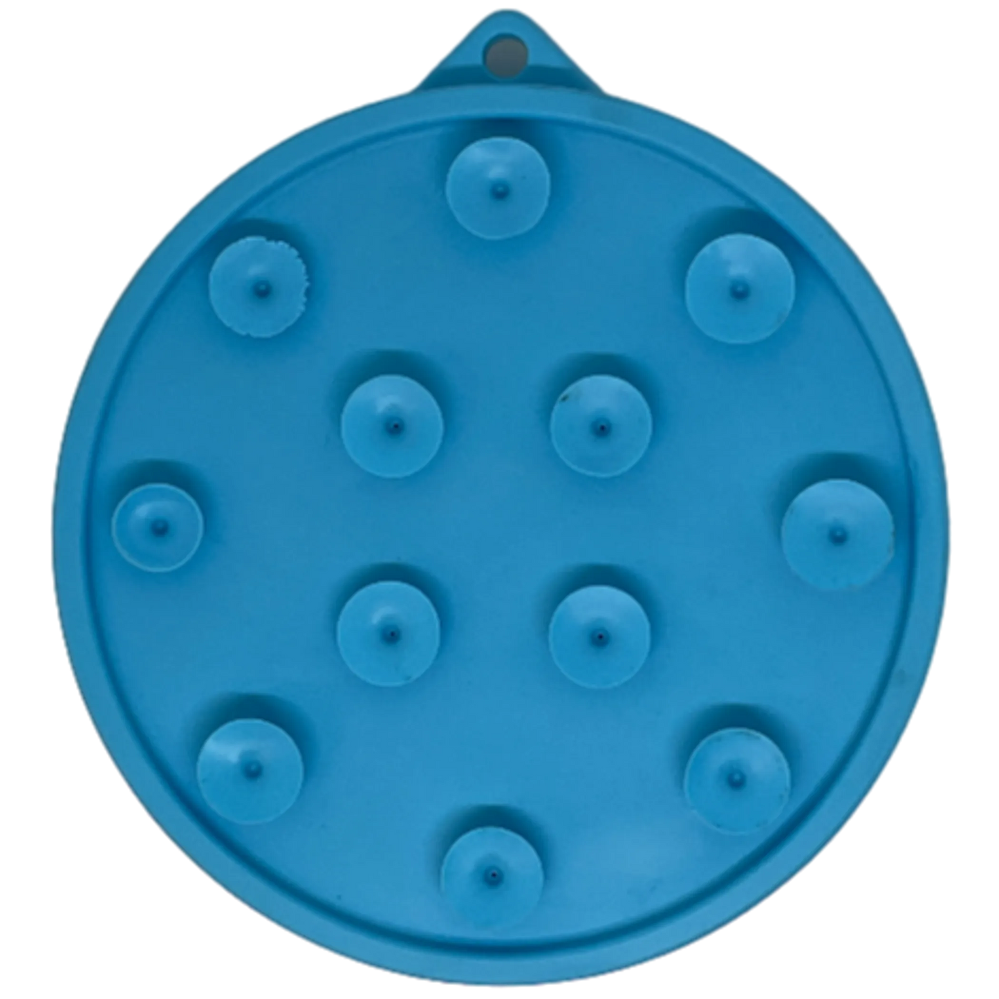Turtle Lick Mat with Suction Cups