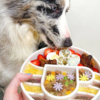 Java eBowl Deep Slow Feeder Dog Bowl for Enrichment