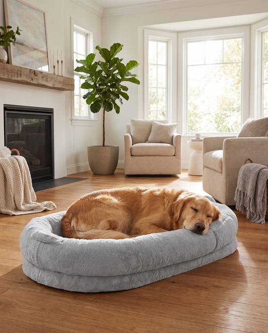 Gray oversized orthopedic pet lounger bed with raised bolster rim and soft faux-fur sleeping surface.