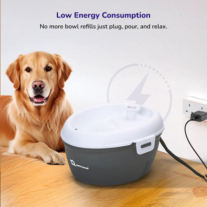 Stainless Steel Pet Water Fountain – 2.5L