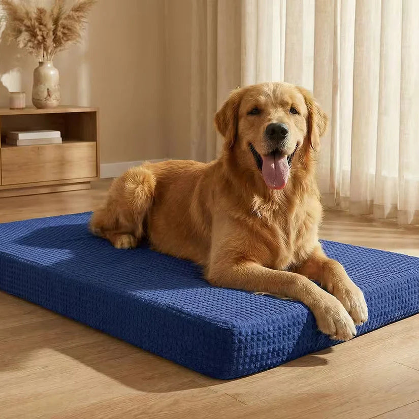 Premium Orthopedic Dog Bed