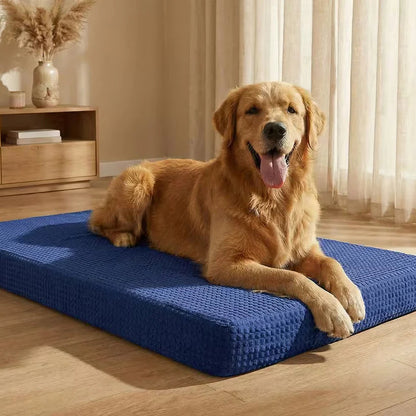 Premium Orthopedic Dog Bed