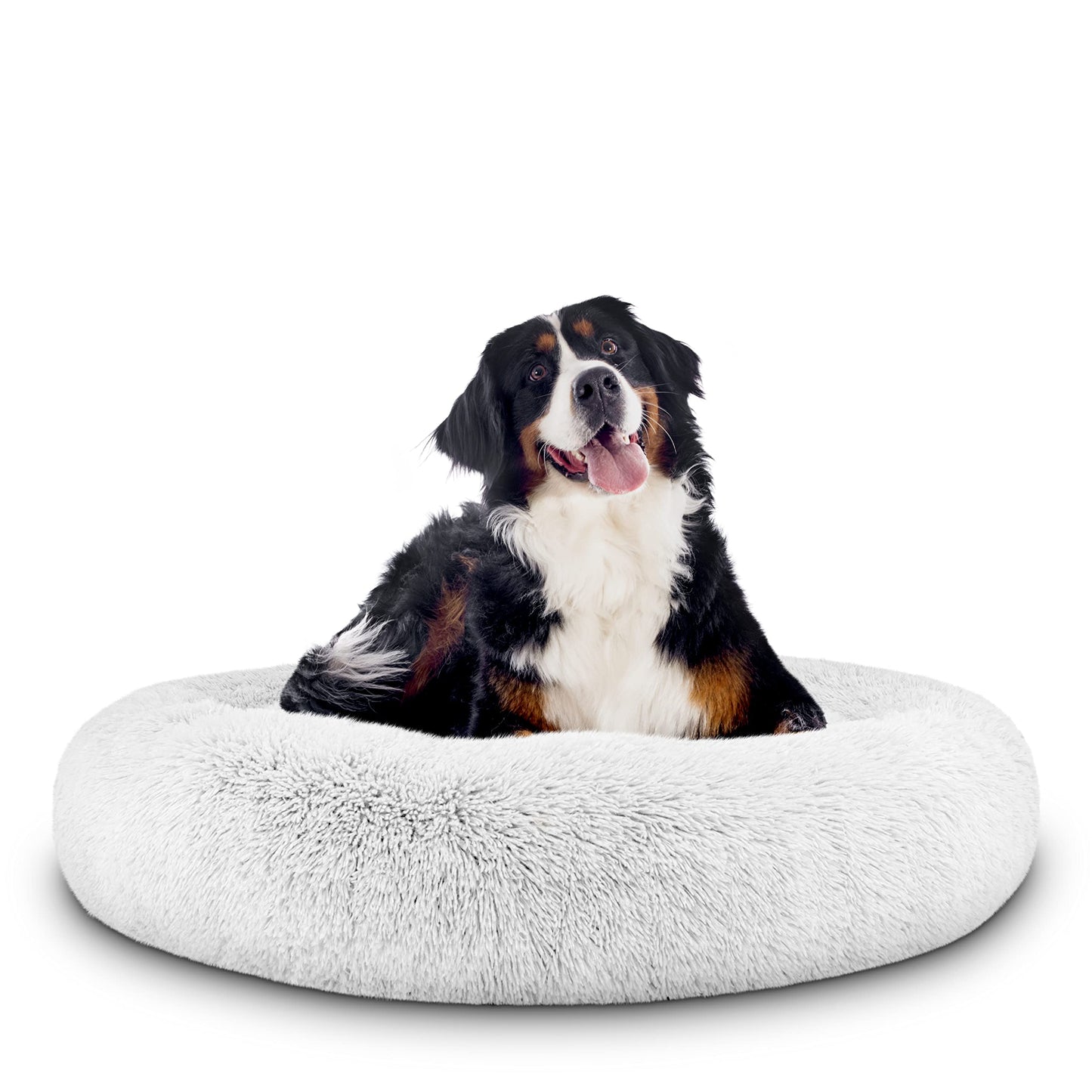 The Dog Donut Bed