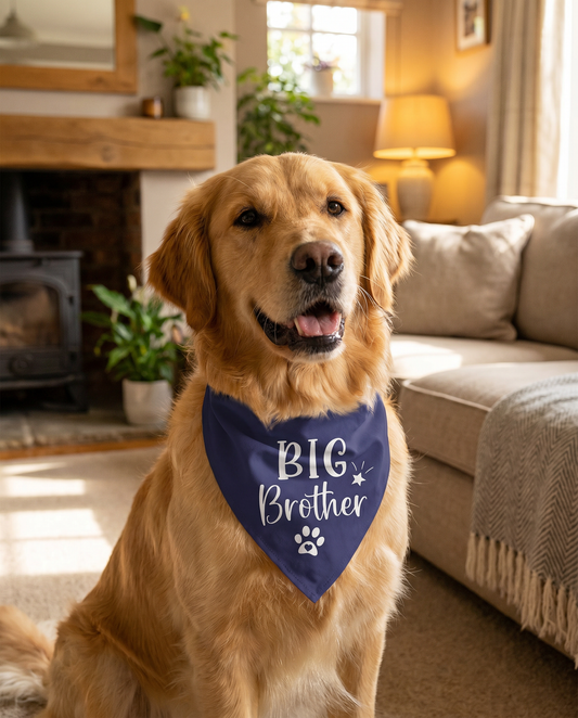 Big Brother Dog Bandana