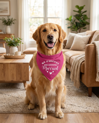 Dog Bandana Deep Pink