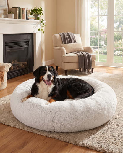 The Dog Donut Bed
