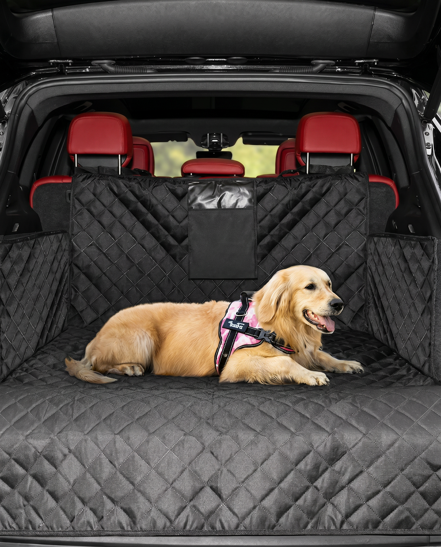 Dog Carrier Wear