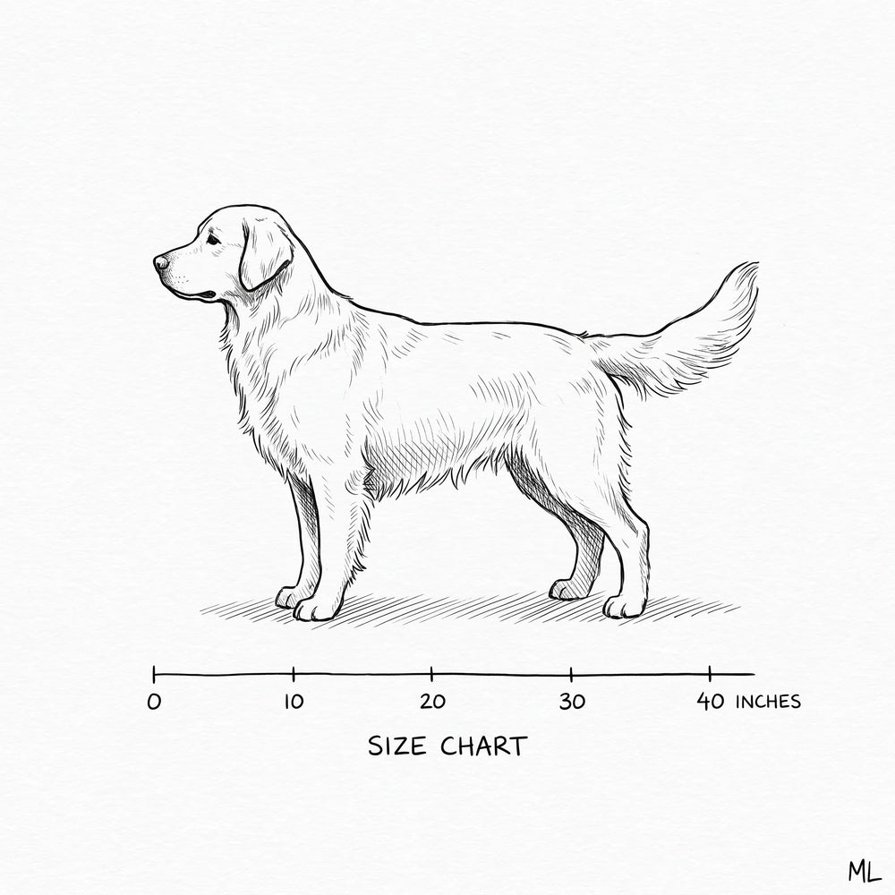 Sketch of a dog standing in side profile for measuring